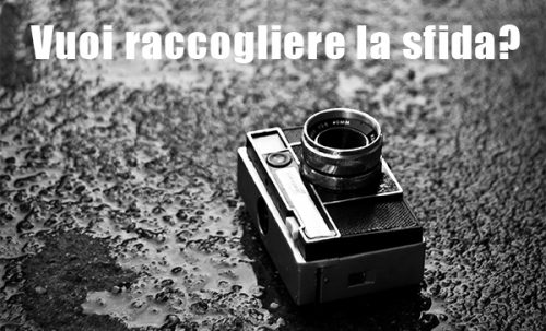 Anteprima-Foto-Partecipativa-Arca-di-Noe-e1547822595700 News ed Eventi