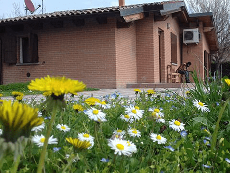 Prato fiorito e una casa sullo sfondo